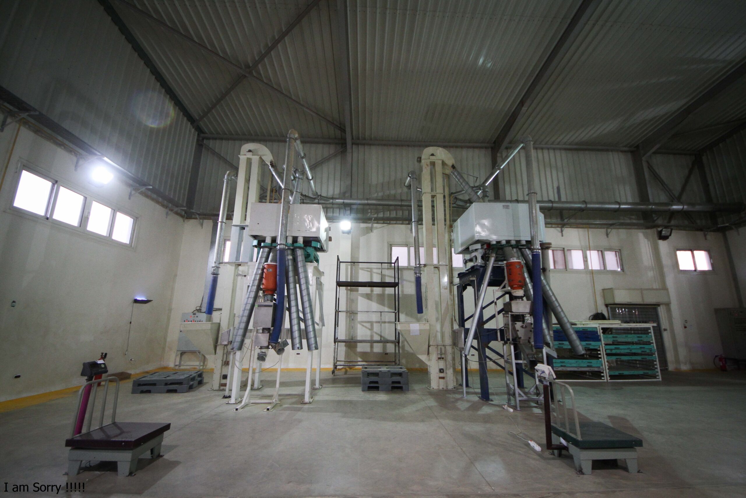 Production